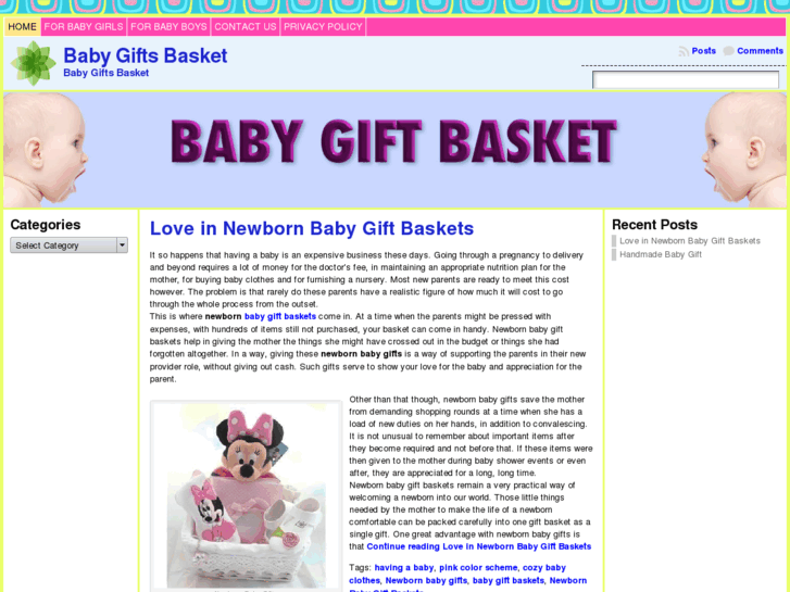 www.babygiftsbasket.net