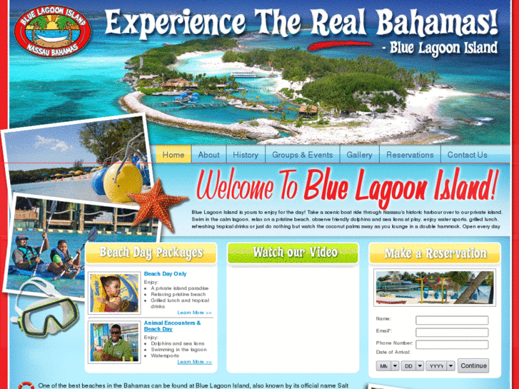 www.bahamasbluelagoon.com