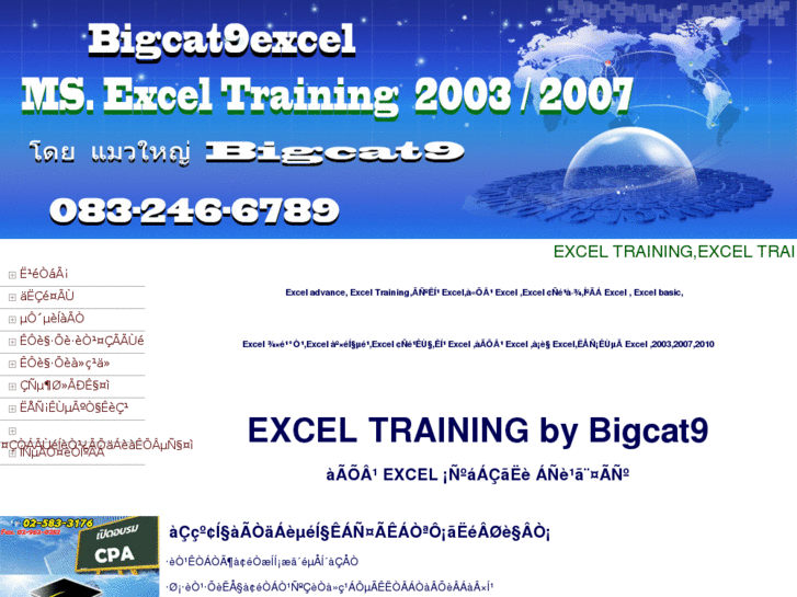 www.bigcat9excel.com