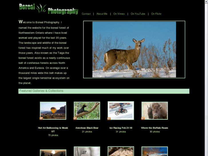 www.borealphotography.com