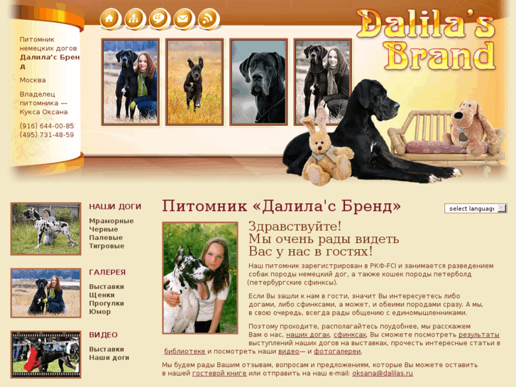 www.dalilas.ru