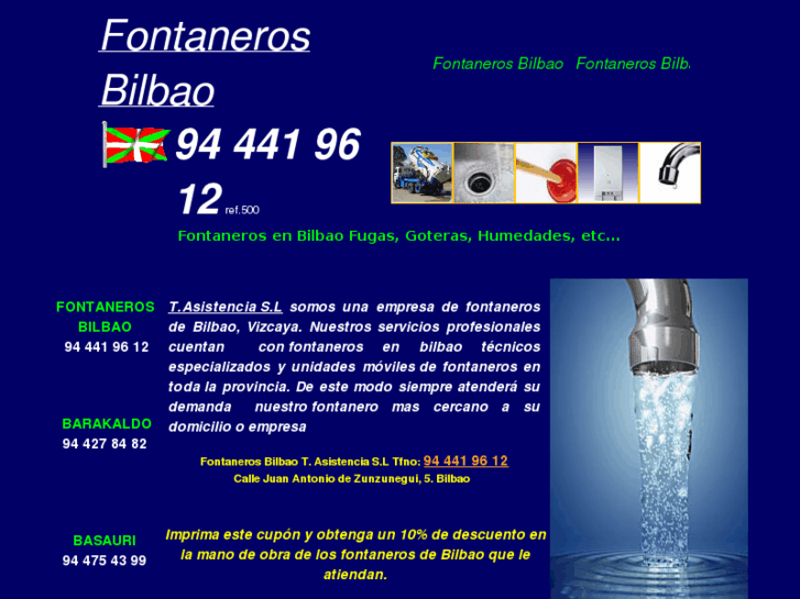 www.fontanerosvizcaya.com