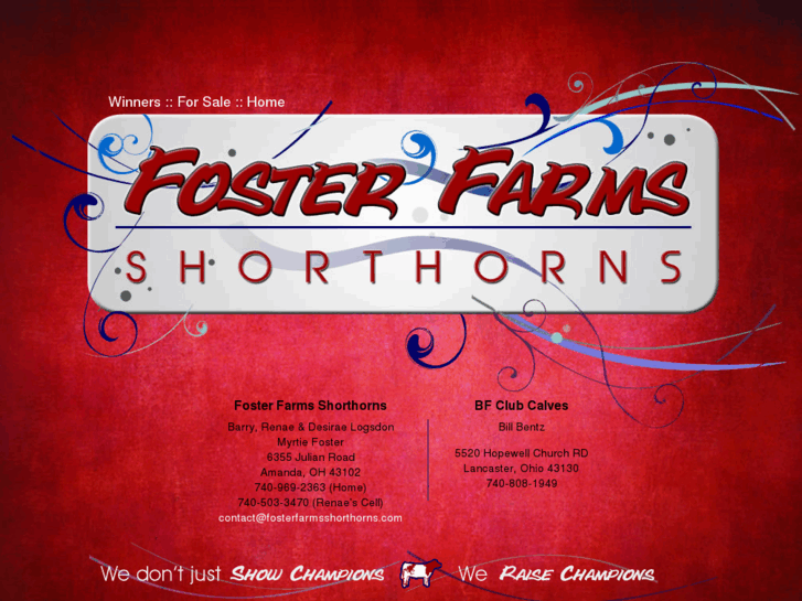 www.fosterfarmsshorthorns.com