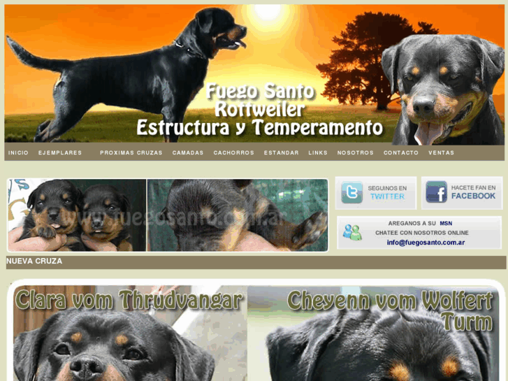 www.fuegosanto.com.ar