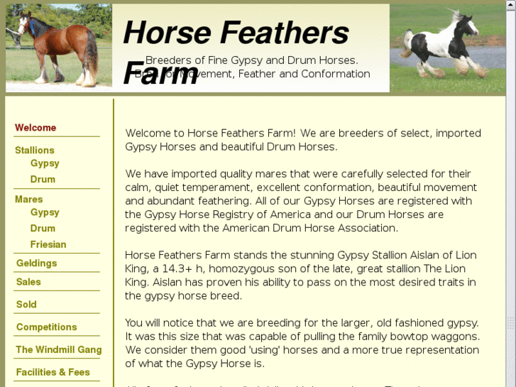 www.horsefeathersfarm-tx.com