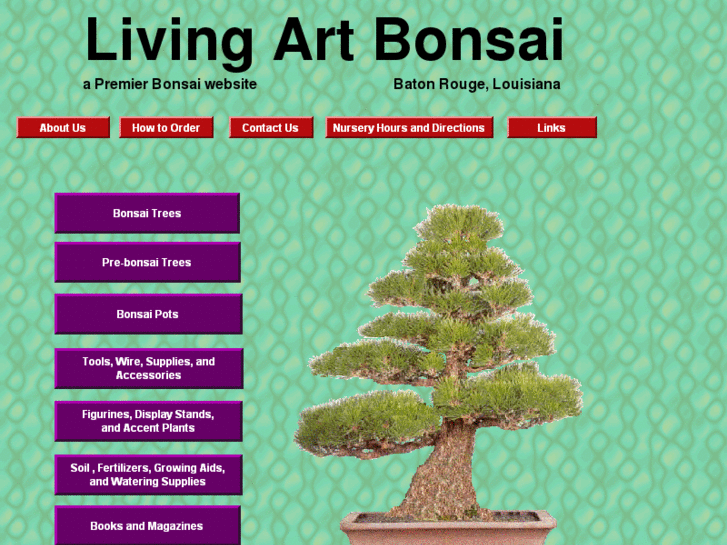 www.livingartbonsai.com