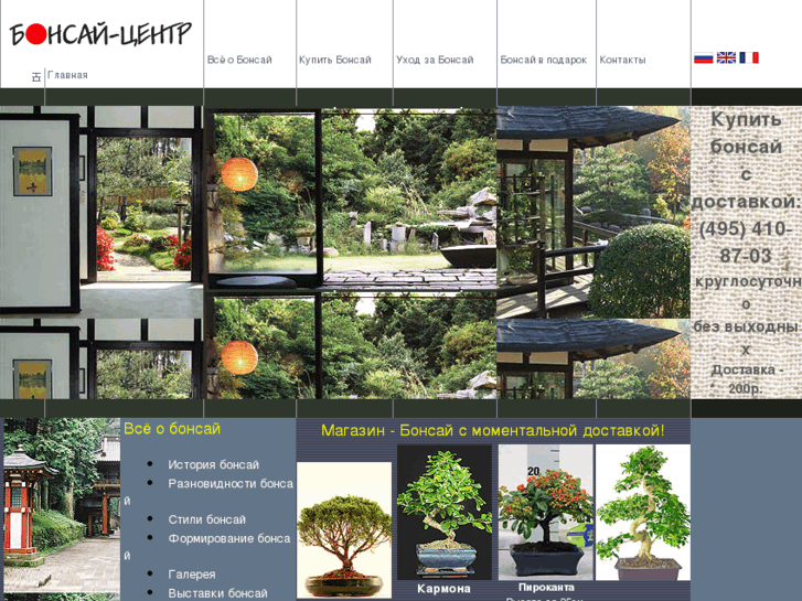 www.bonsai-center.ru