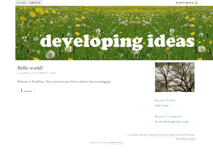 www.developingideas.info