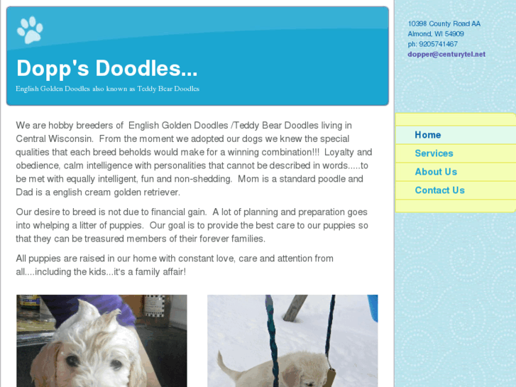 www.doppsdoodles.com