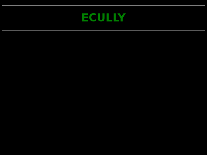 www.ecully.com