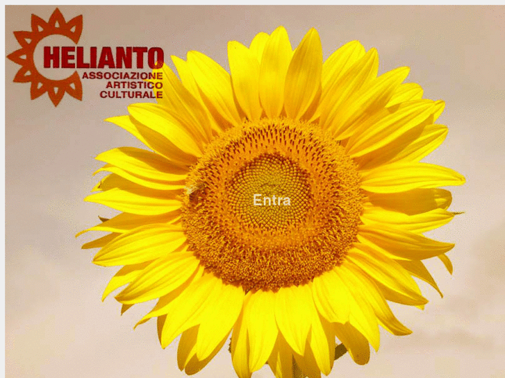 www.helianto.it