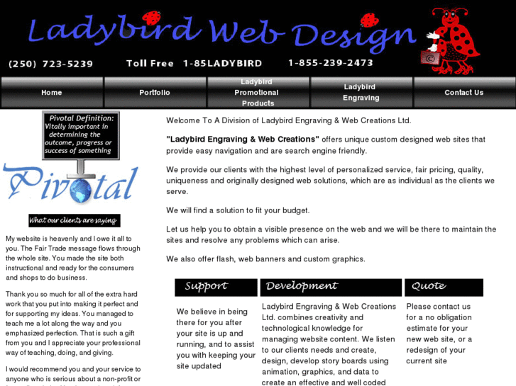 www.ladybirdwebdesign.com