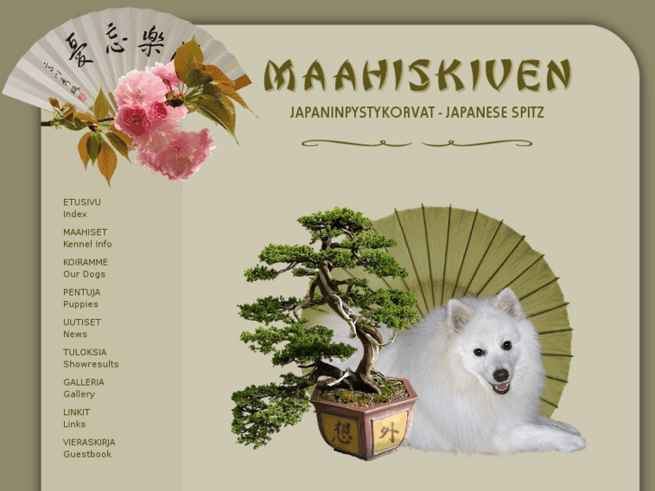 www.maahiskivi.com