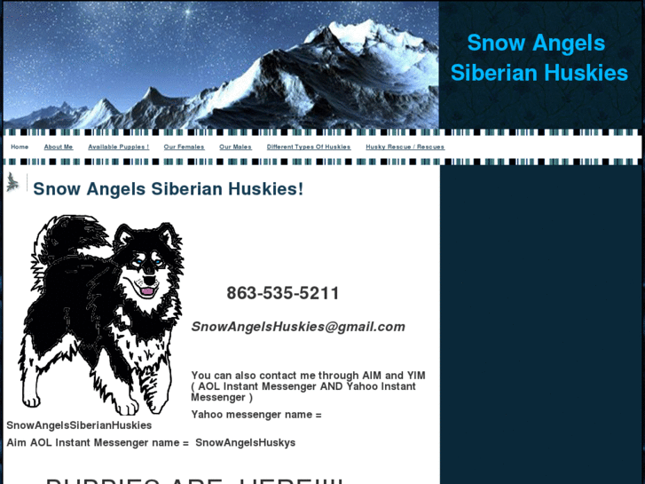 www.snowangelshuskies.com