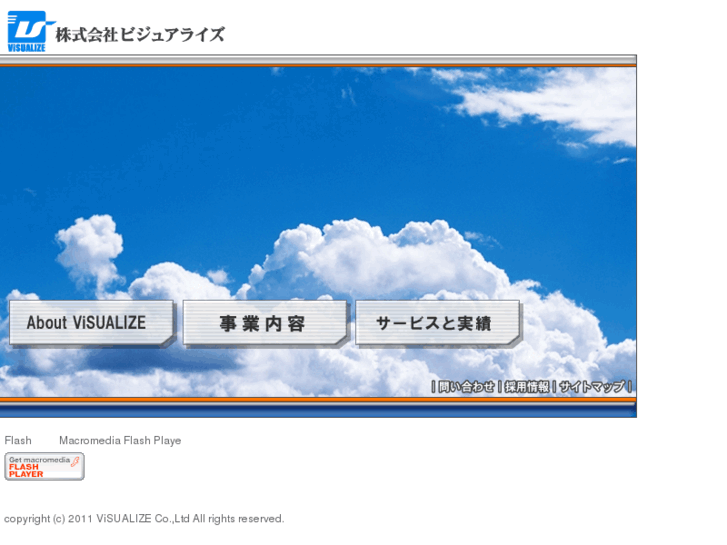 www.visualize.co.jp