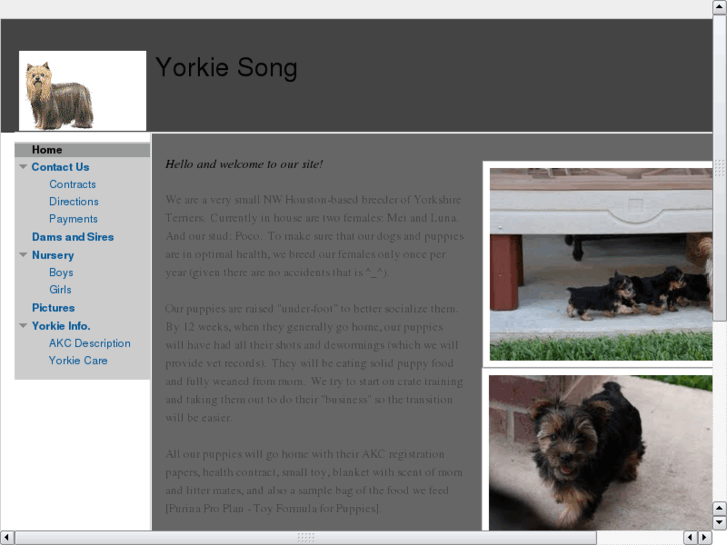 www.yorkiesong.com