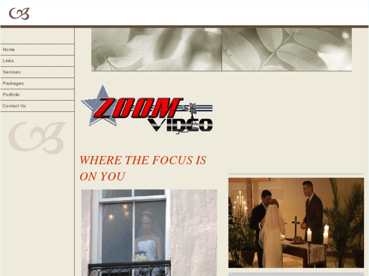 www.zoomvideotampa.com