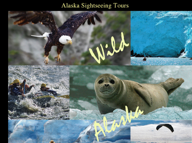 www.alaskasightseeingtours.com