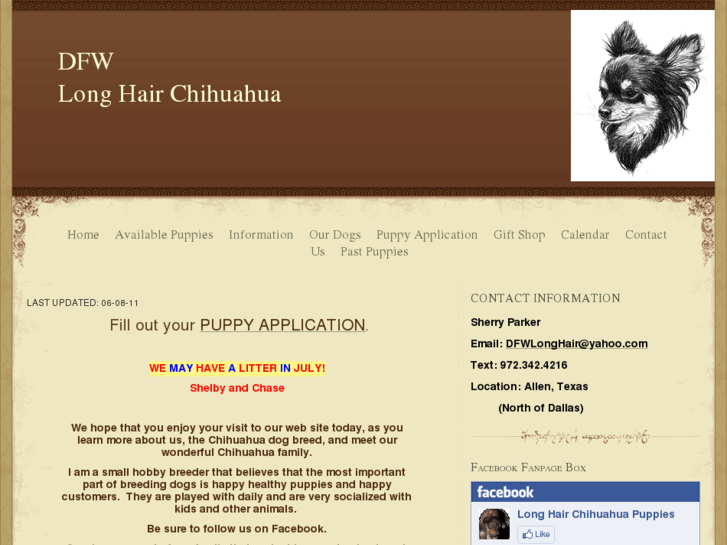 www.dfwlonghairchihuahua.com