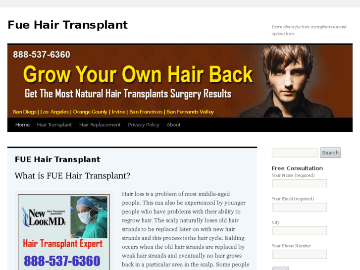 www.fuehairtransplantinfo.com