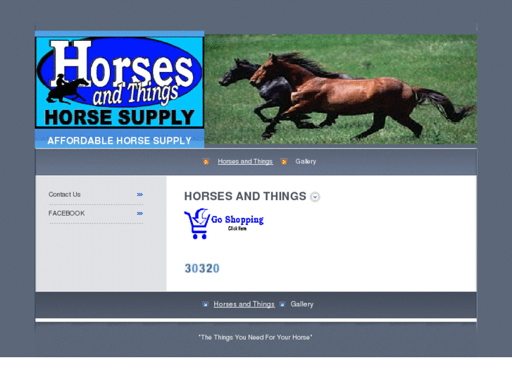 www.horsesandthings.com