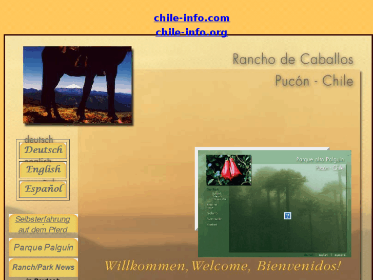 www.rancho-de-caballos.com