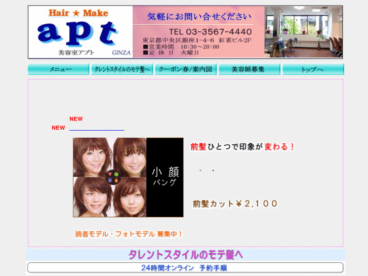 www.apt-jp.com