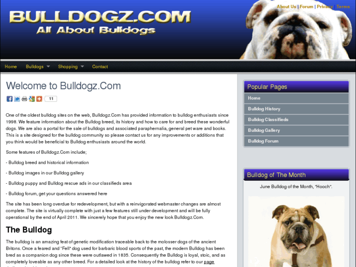 www.bulldogz.com