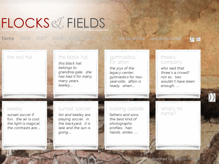 www.flocksandfields.com