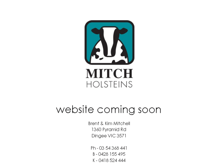 www.mitchholsteins.com.au