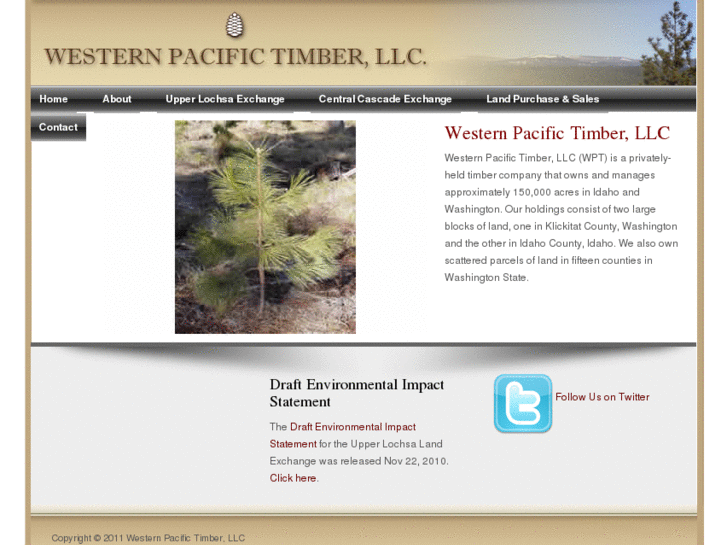 www.wptimber.com