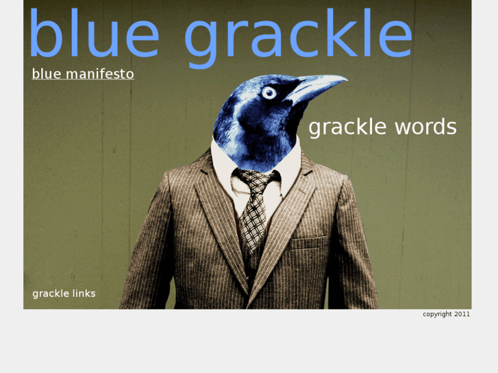 www.bluegrackle.com