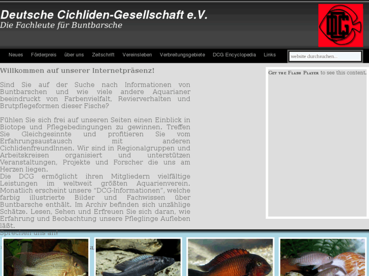 www.dcg-online.de