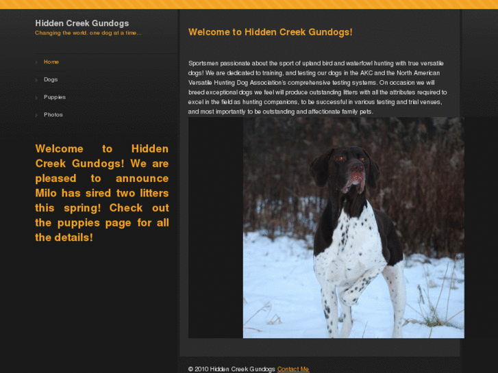 www.hiddencreekgundogs.com