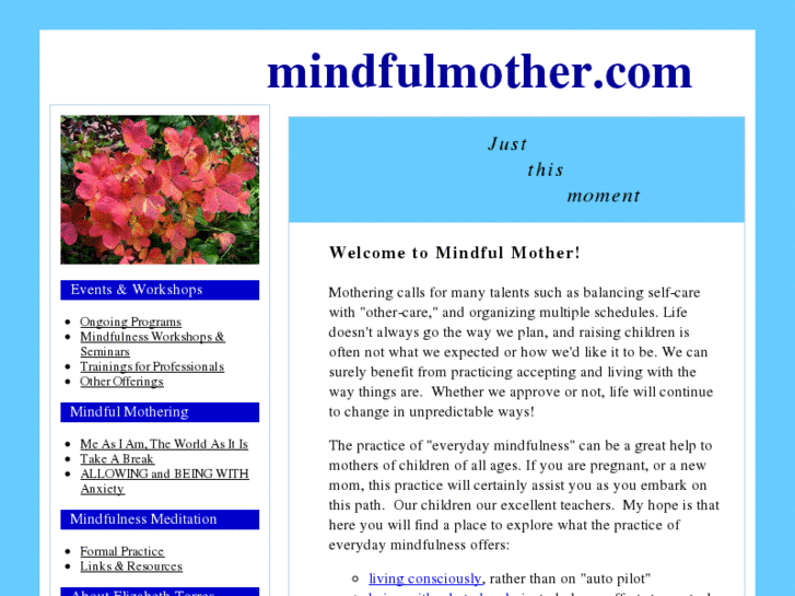 www.mindfulmother.com