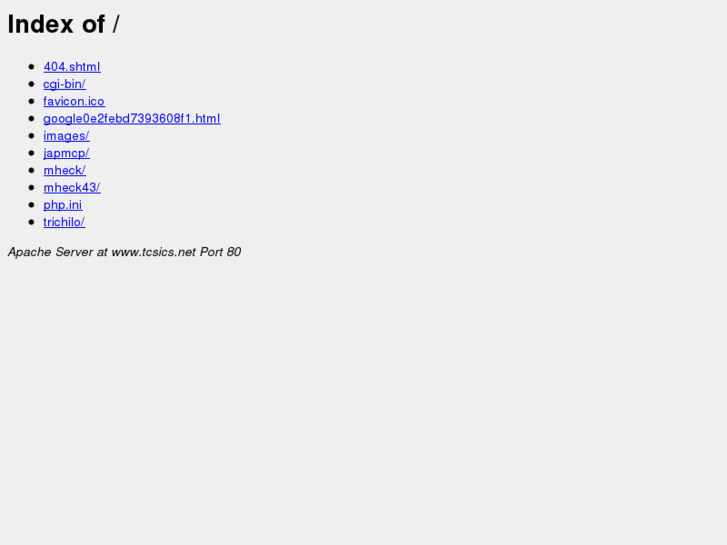 www.tcsics.net