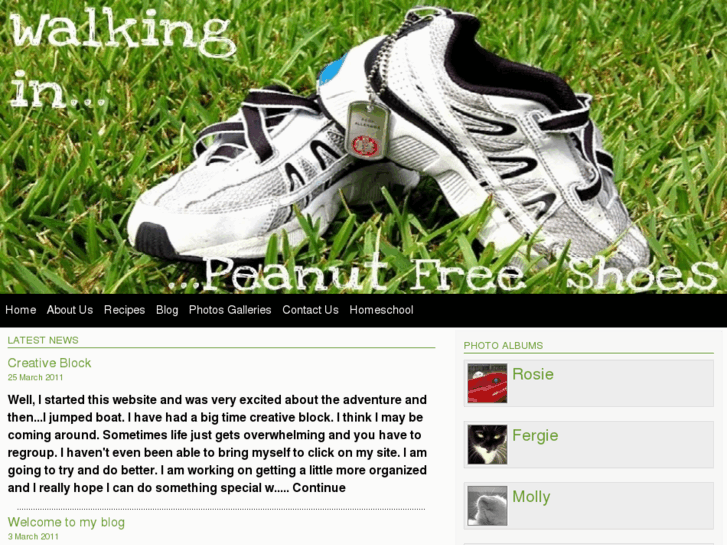 www.walkinginpeanutfreeshoes.com