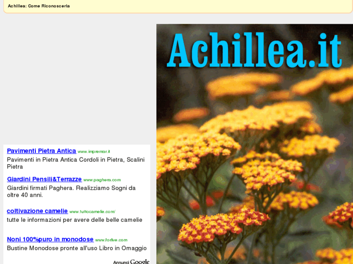 www.achillea.it