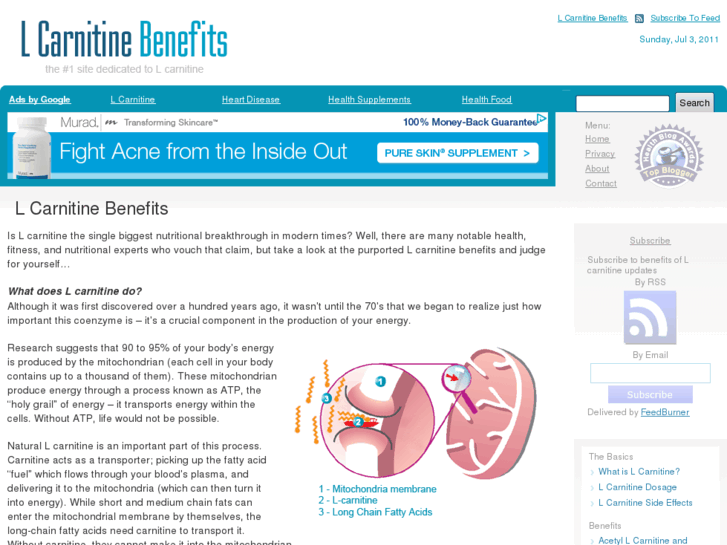 www.lcarnitinebenefits.com