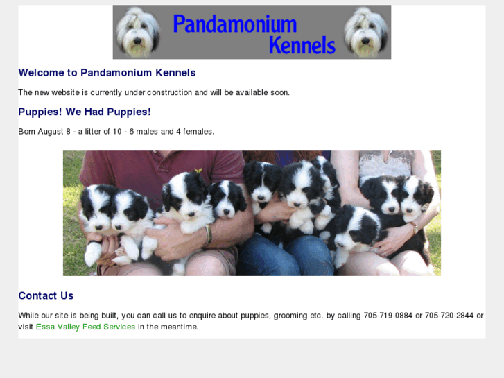 www.pandamoniumkennels.com