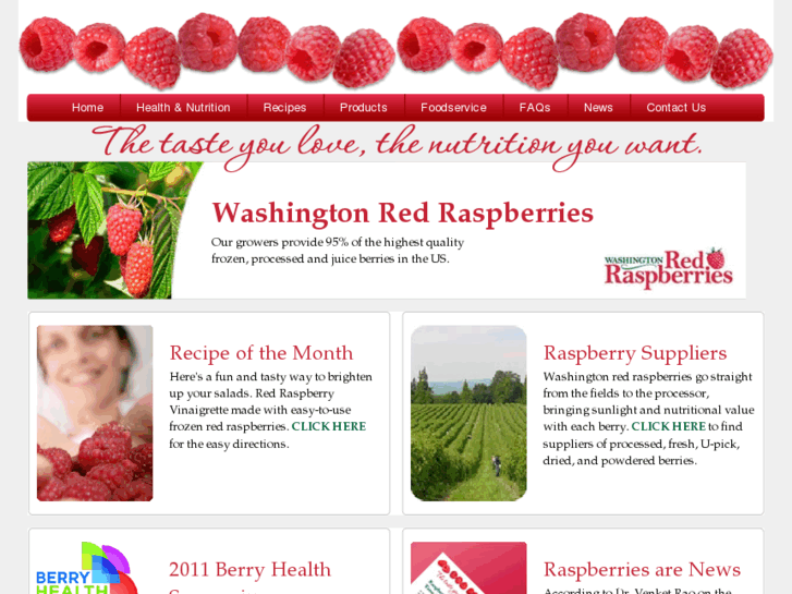 www.raspberryinfo.com