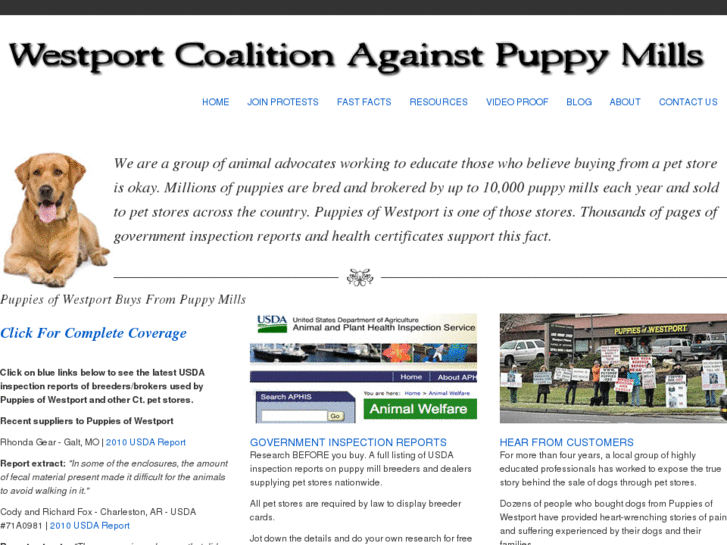 www.savepuppymilldogs.com