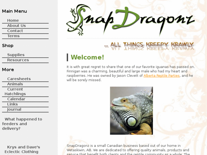 www.snapdragonz.com