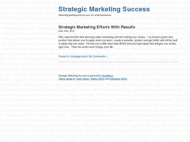 www.strategicmarketingsuccess.com