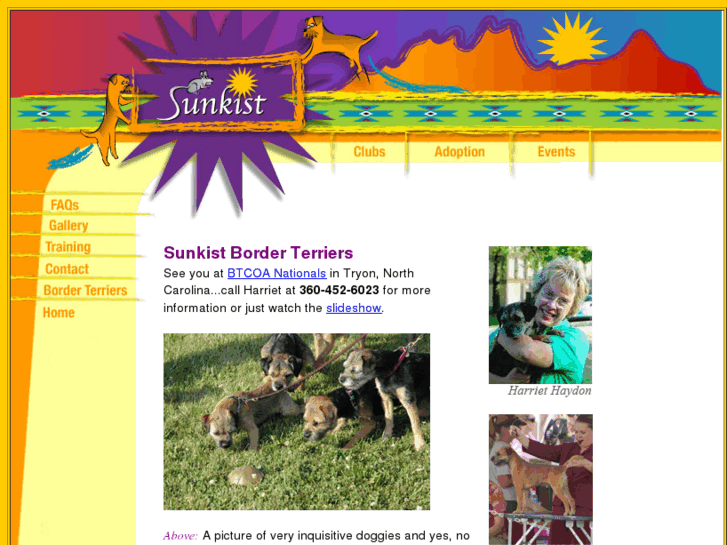 www.sunkistborderterriers.com