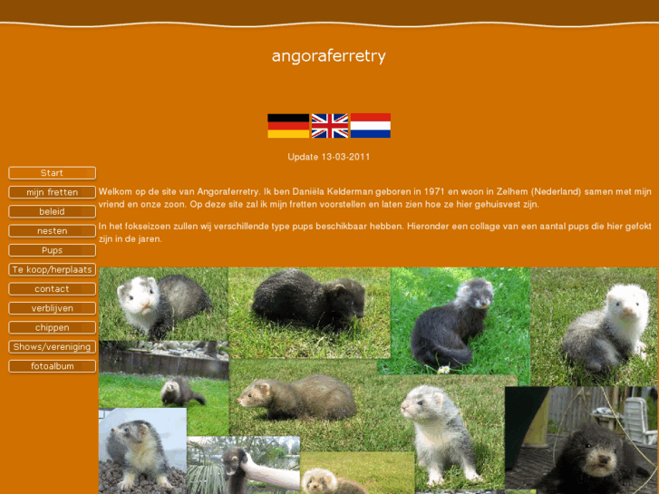 www.angoraferretry.nl