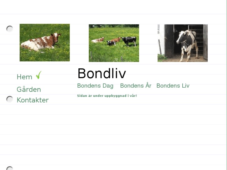 www.bondliv.com