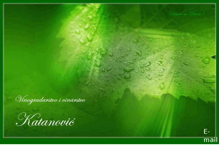 www.katanovic.com