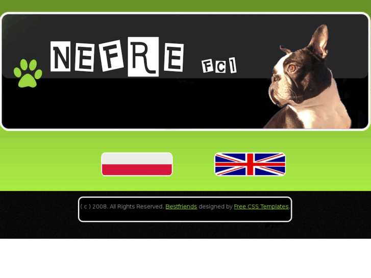 www.nefre.eu