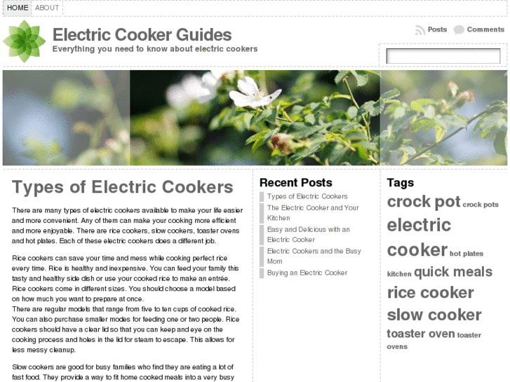 www.theelectriccooker.com